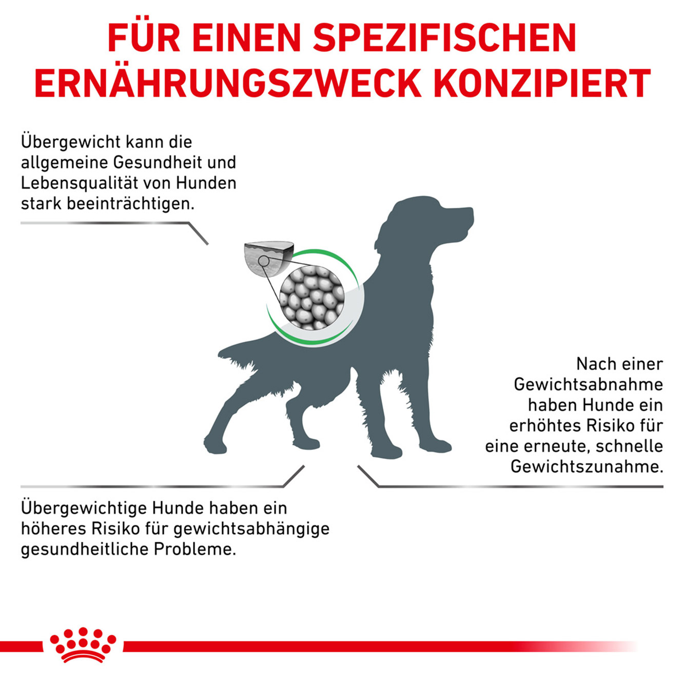 Royal Canin Hund Satiety