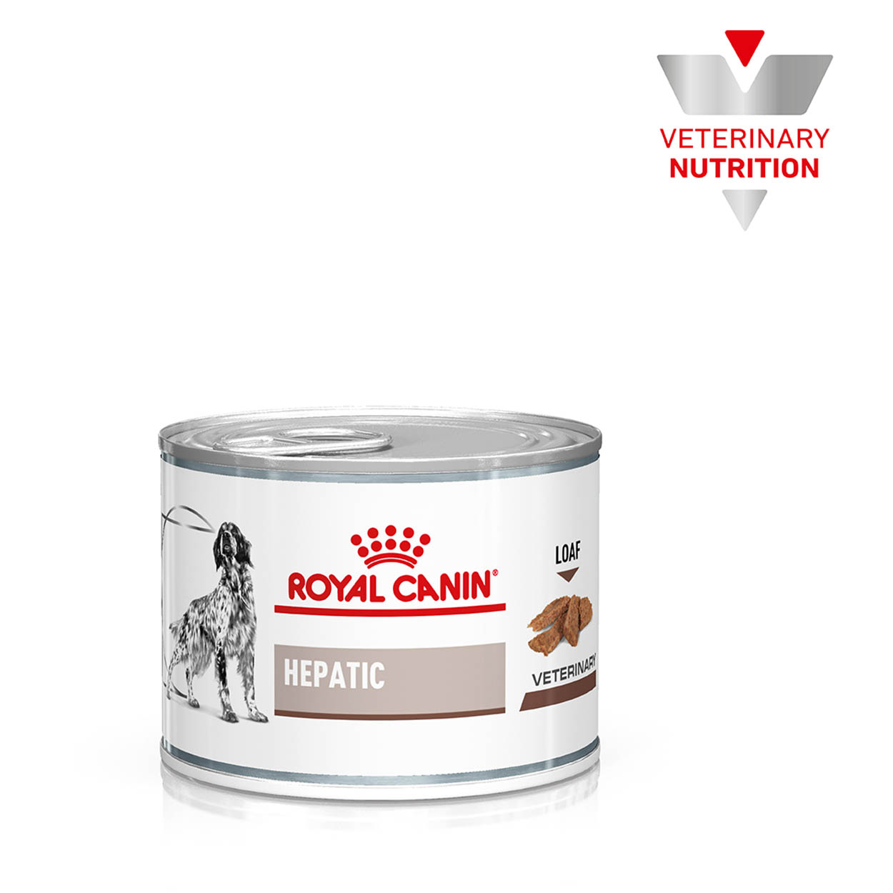 Royal Canin Hund Hepatic 12x200g