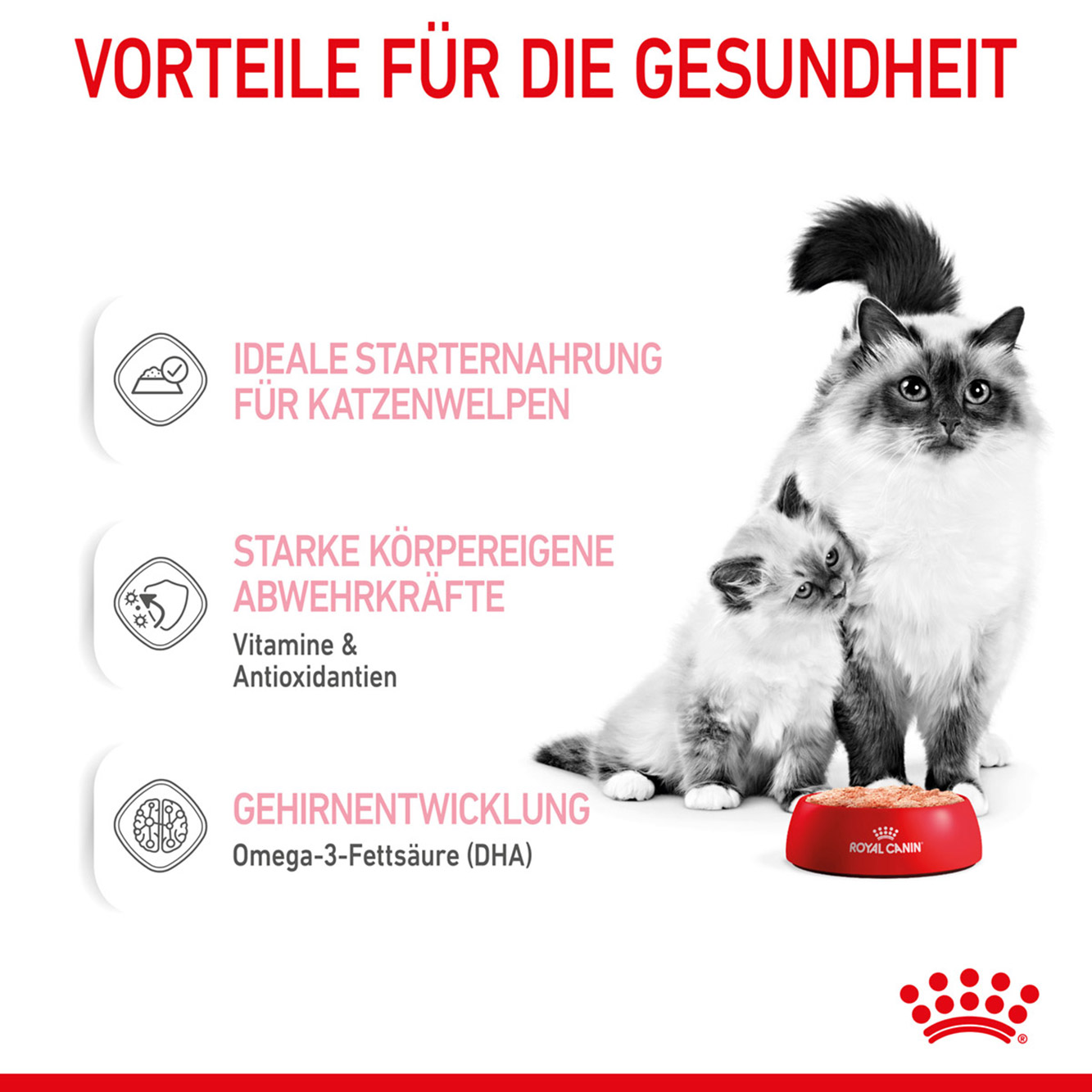 Royal Canin Katze Mother & Babycat Mousse 12x195g