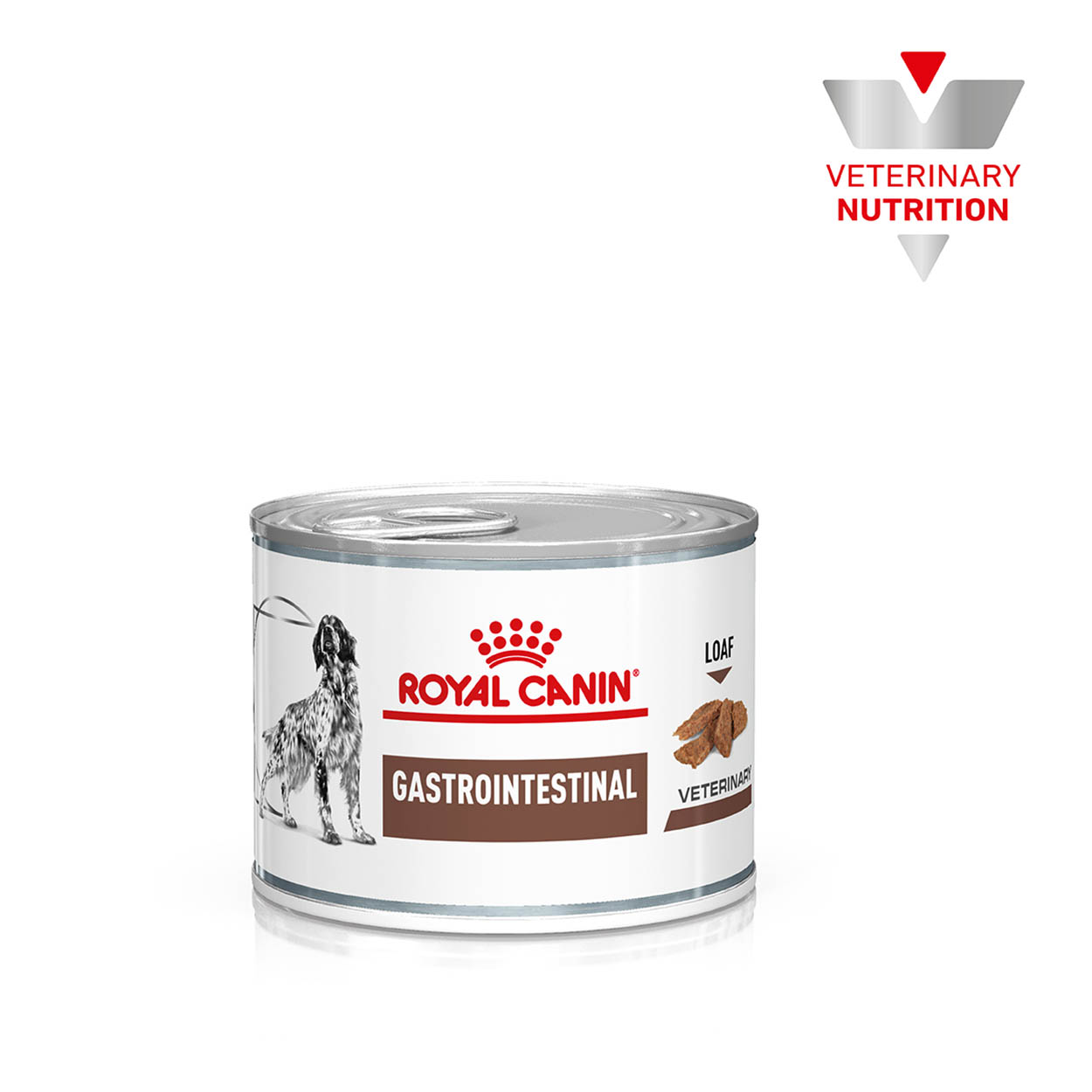 Royal Canin Hund GastroIntestinal 12x200g