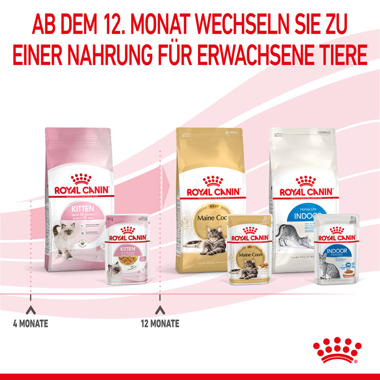 Royal Canin Katze Kitten Gelee 12x85g