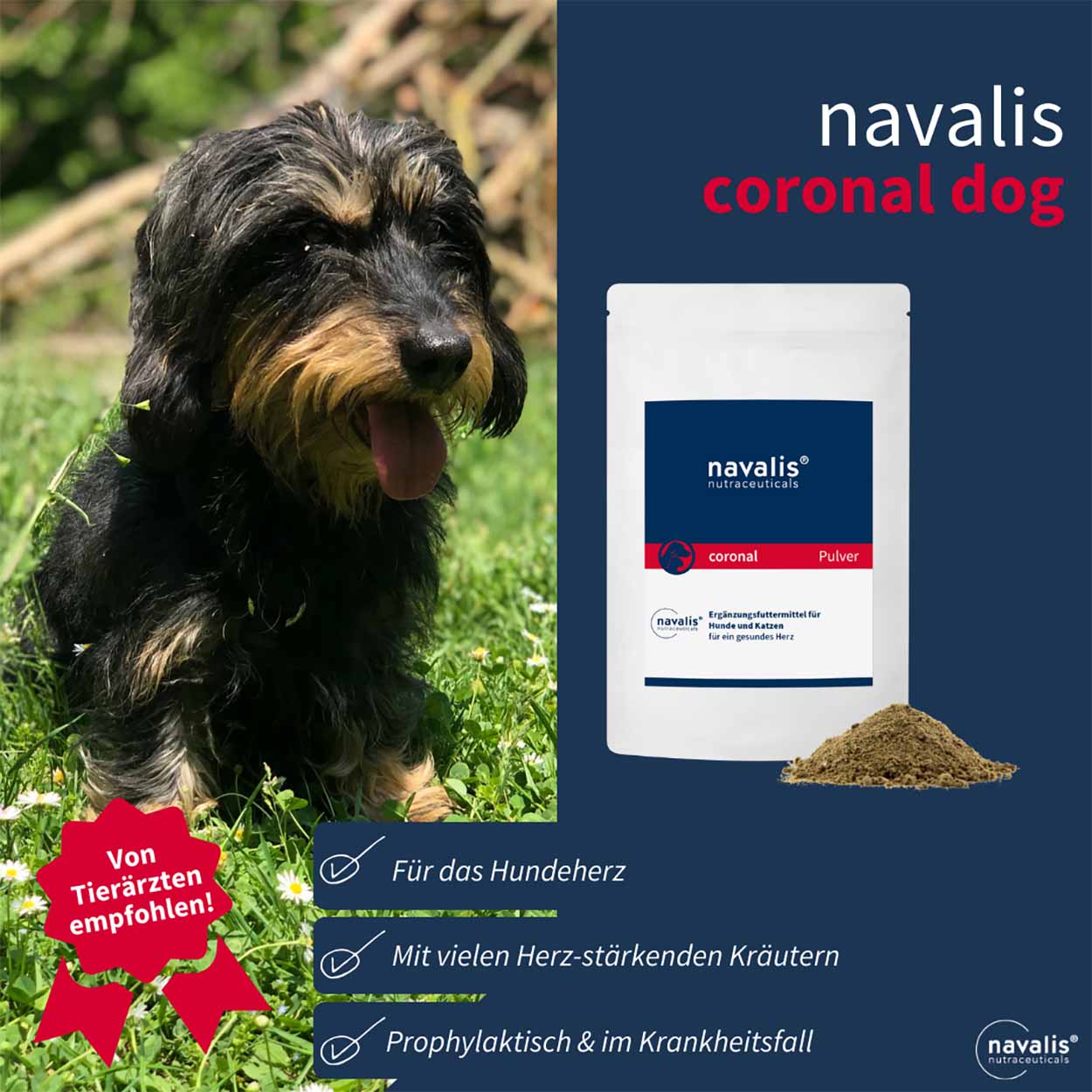 Coronal Dog 120g