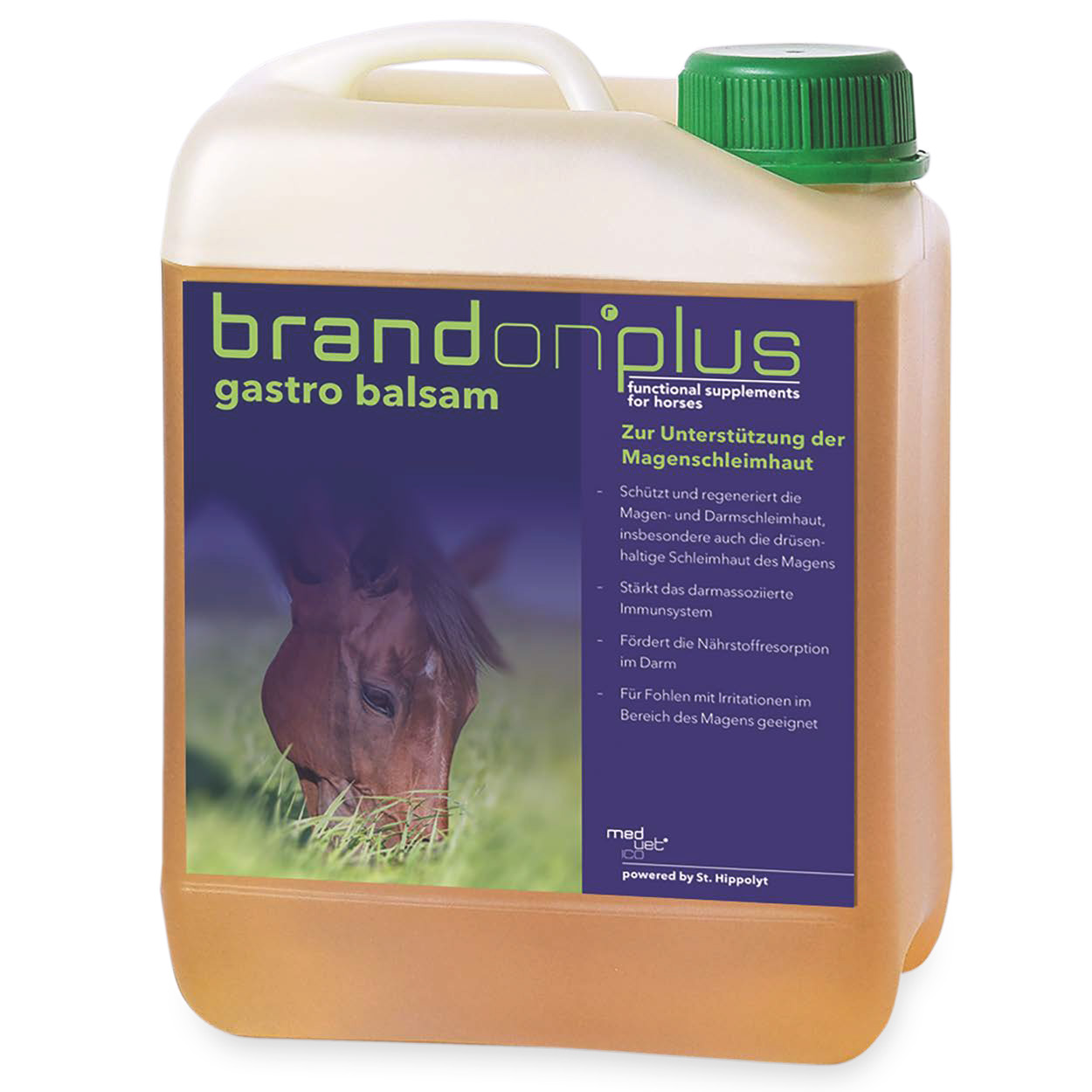 Brandon plus GastroBalsam 2,5L