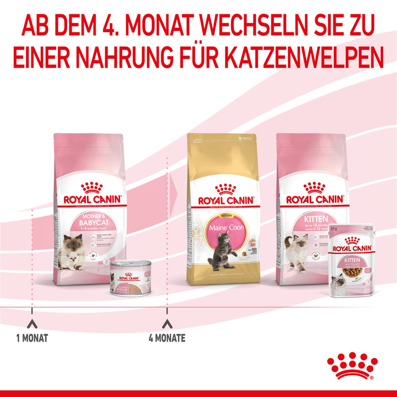 Royal Canin Katze Mother & Babycat Mousse 12x195g