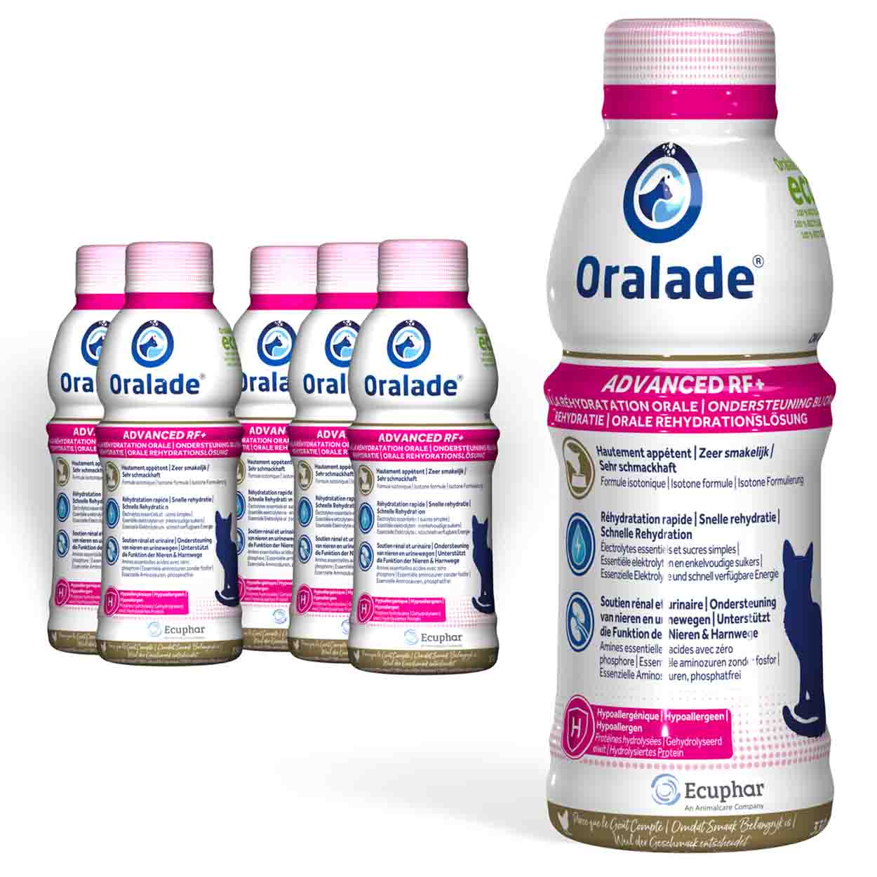 Oralade Advanced RF+ Katzen 6x330ml