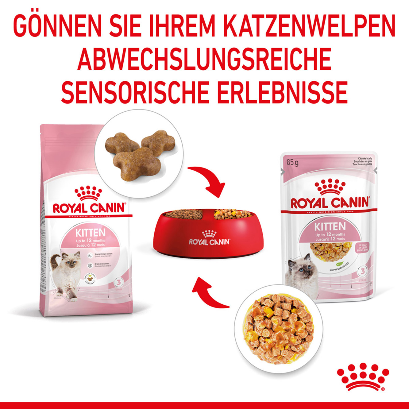 Royal Canin Katze Kitten Gelee 12x85g