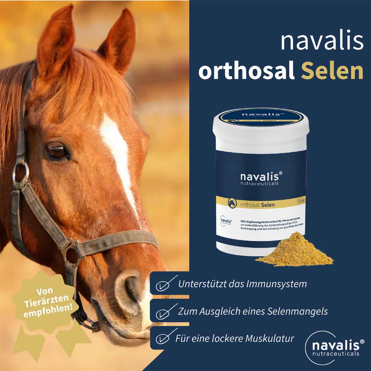 orthosal Selen Horse 500g