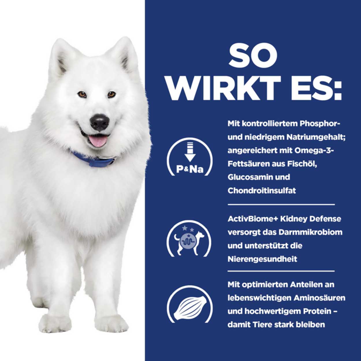 Hills Canine k/d Mobility Ragout Huhn Gemüse12x354g