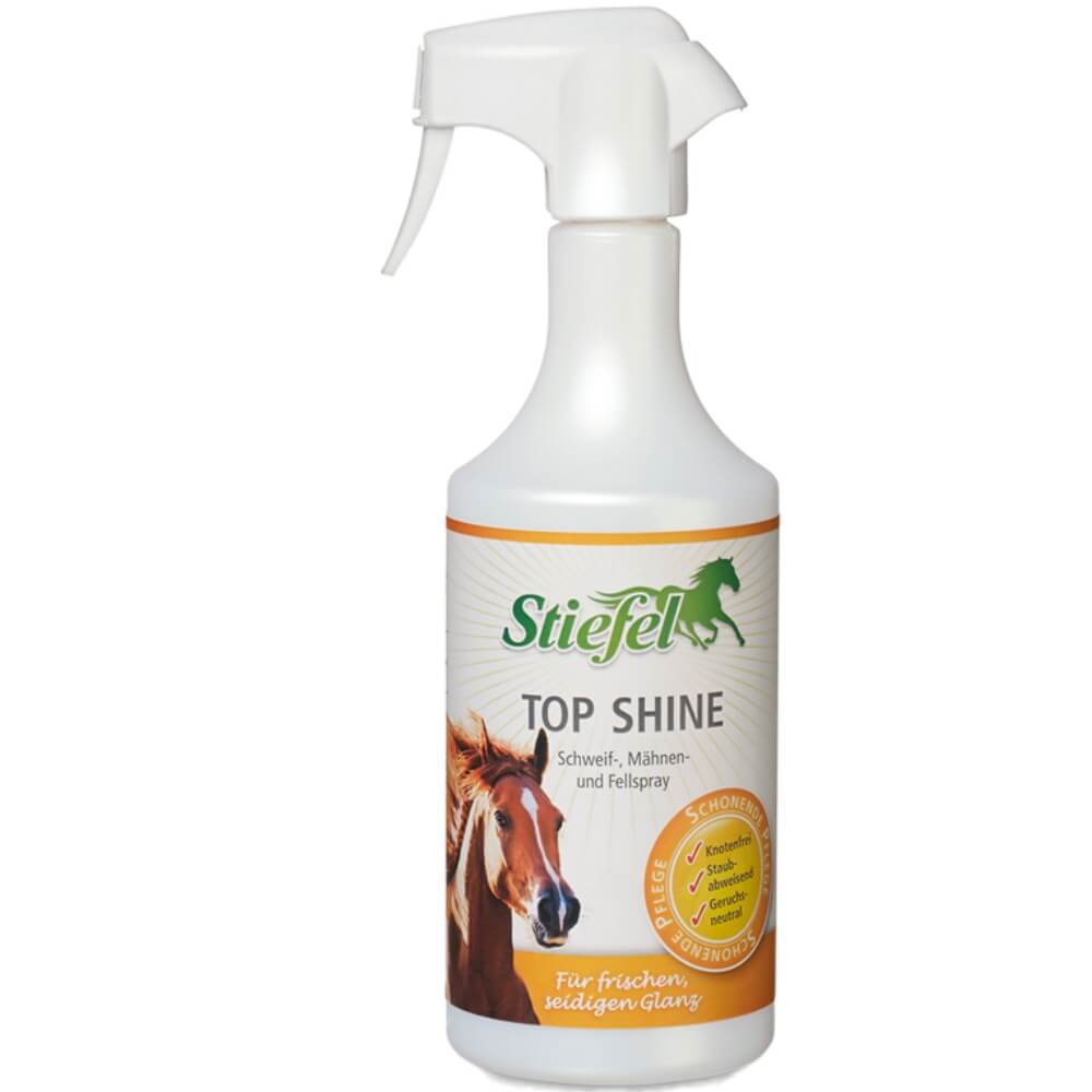 Stiefel Top Shine