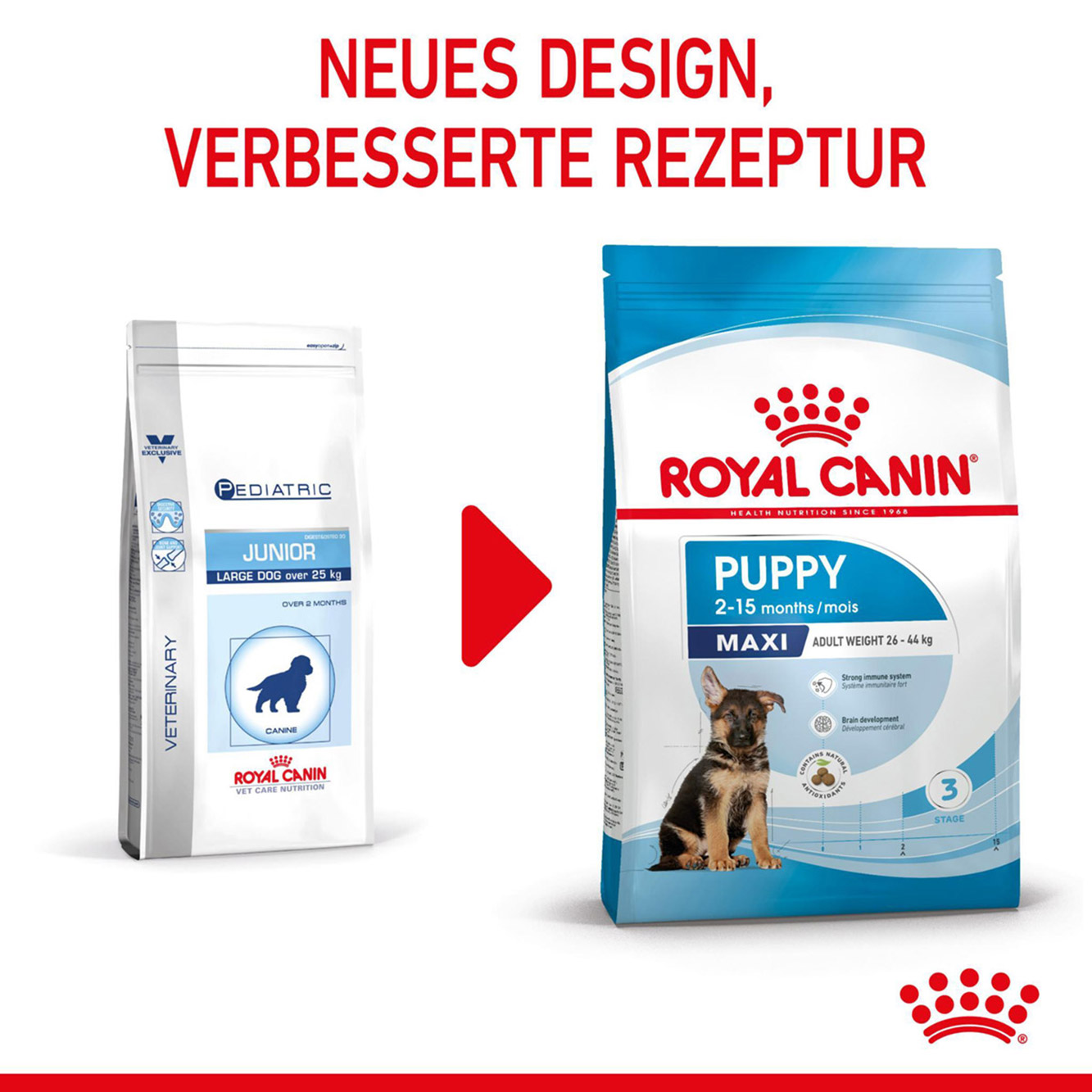 Royal Canin Hund Maxi Puppy 15kg 