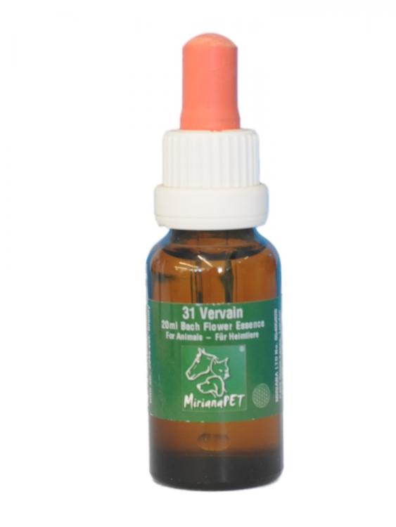 Bachblüten 31 Vervain 20ml