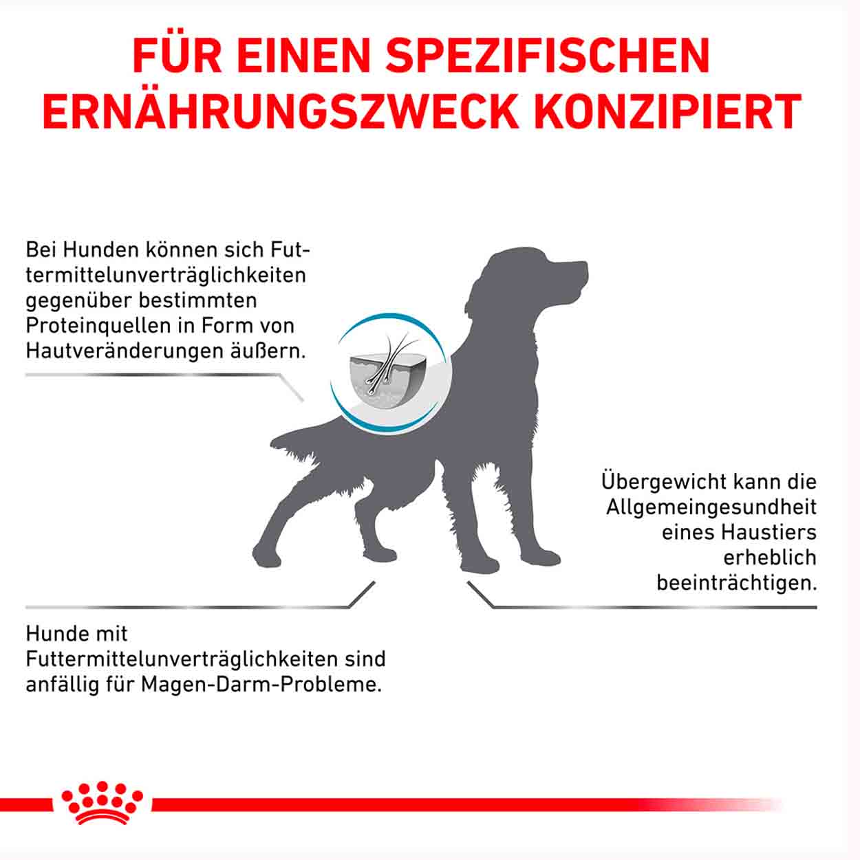 Royal Canin Hund hypoallergenic moderate calorie