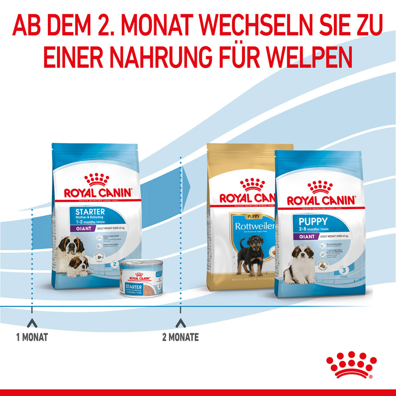 Royal Canin Hund Giant Starter 15kg