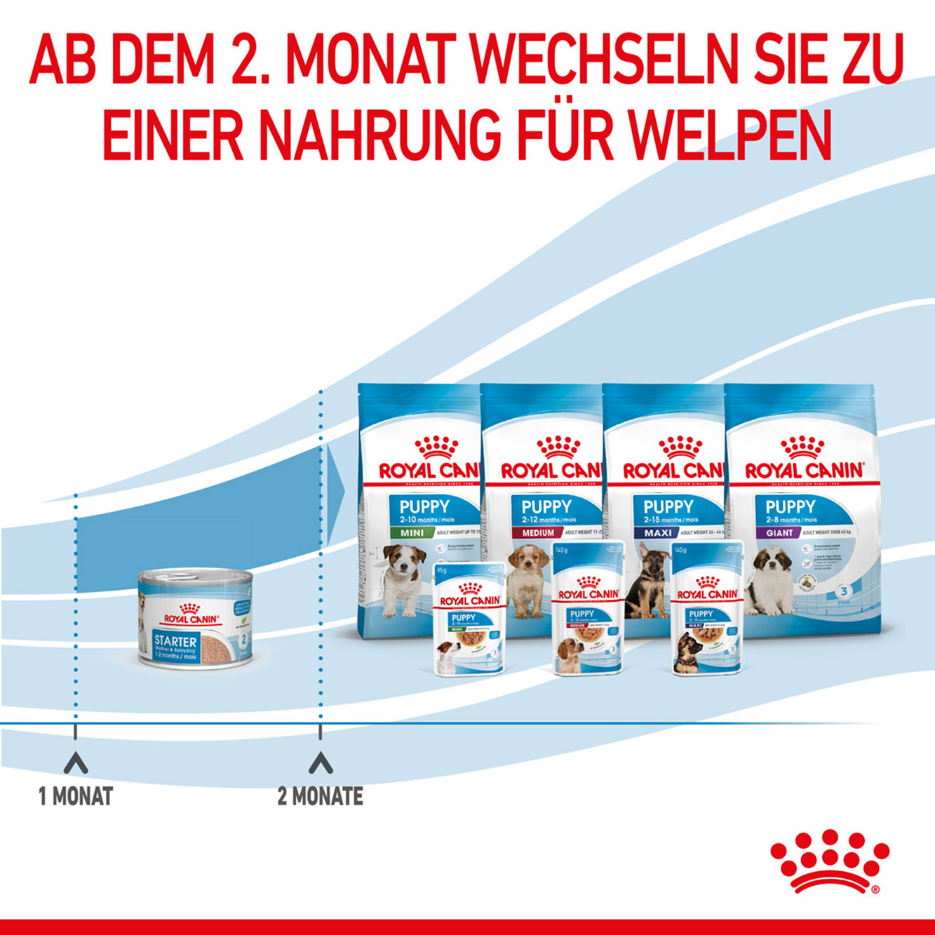 Royal Canin Hund Starter Mousse 12x195g