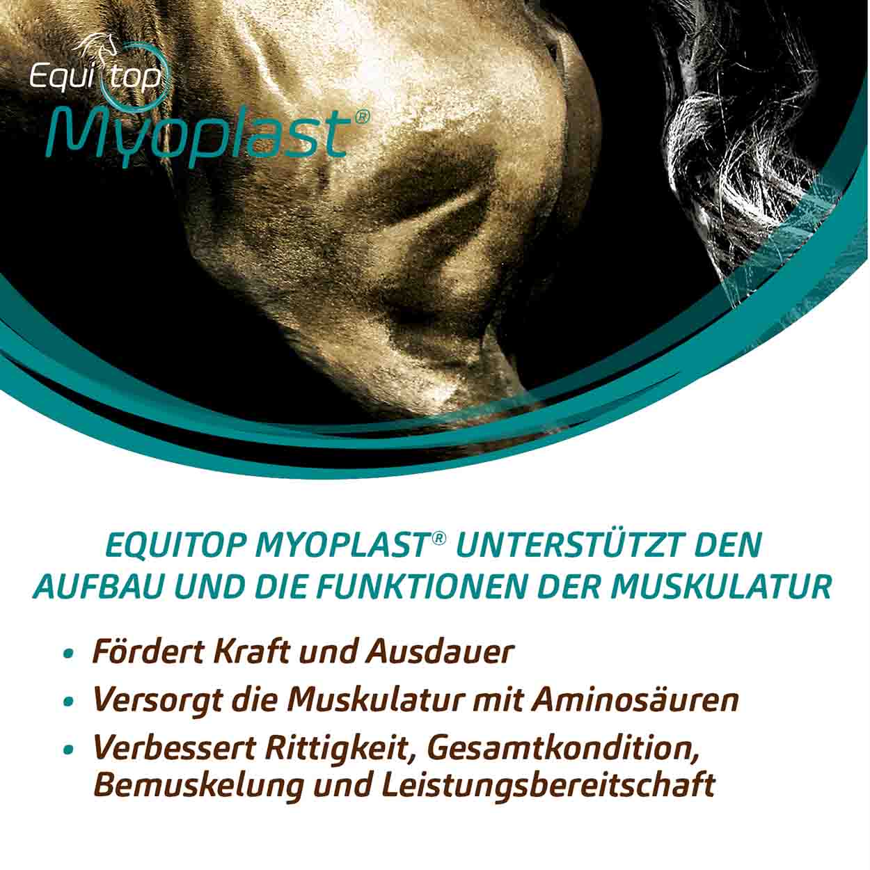 Equitop Myoplast 1500g