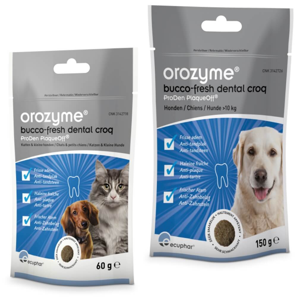 Orozyme Bucco-Fresh Dental Croq