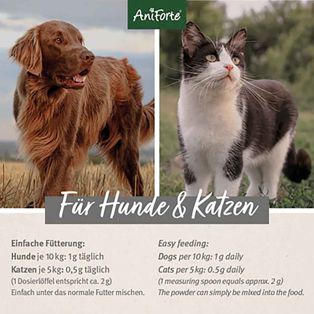 AniForte MSM Pulver für Hunde Katzen 300g