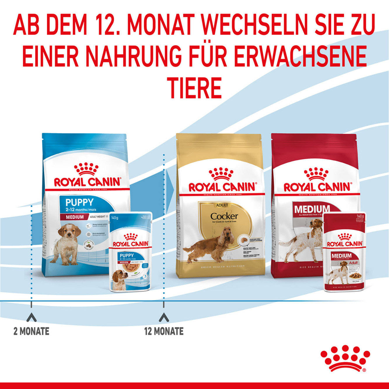 Royal Canin Hund Medium Puppy 10x140g