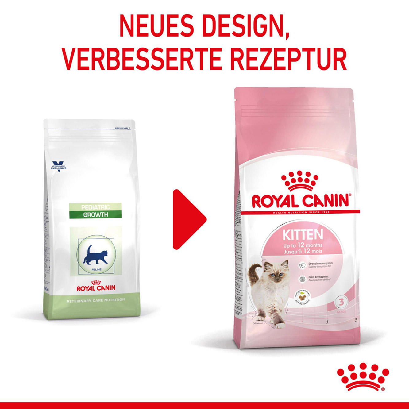 Royal Canin Katze Kitten 4kg