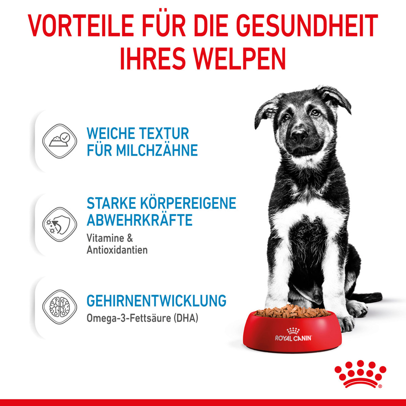 Royal Canin Hund Maxi Puppy 10x140g