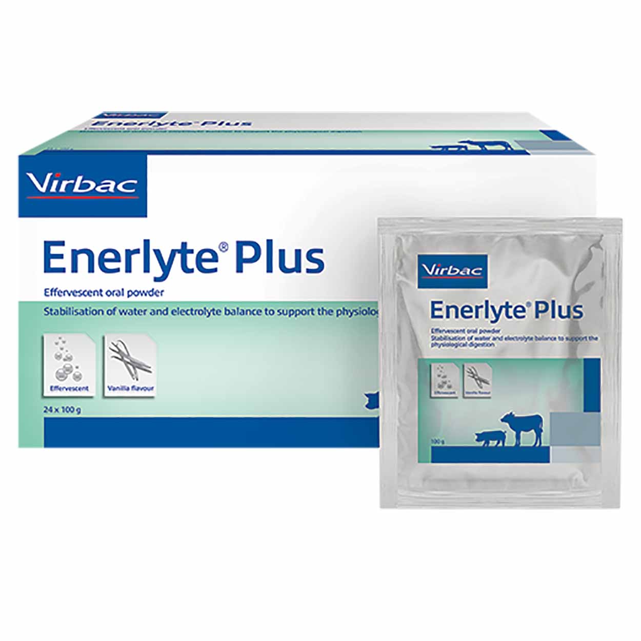 Enerlyte plus