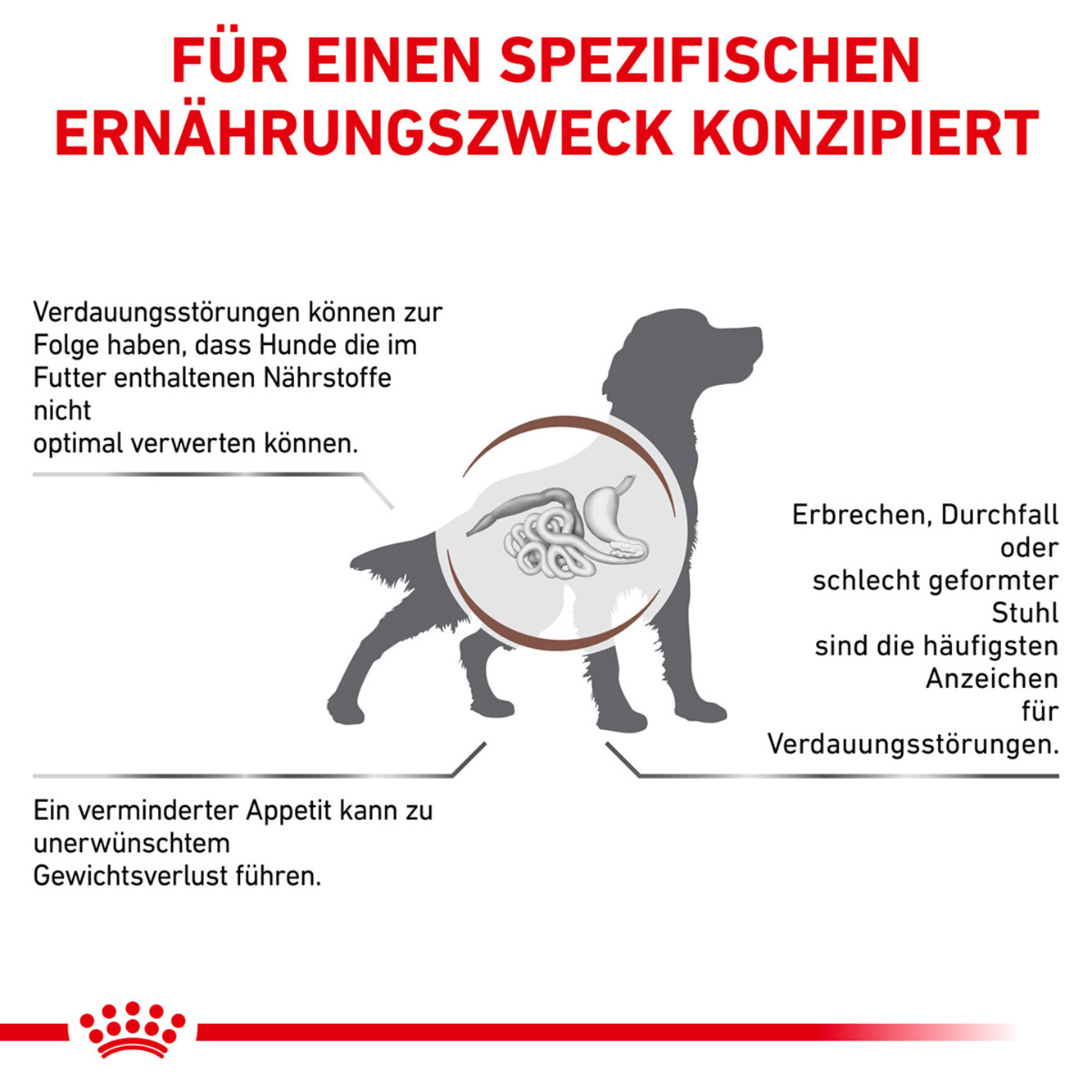 Royal Canin Hund GastroIntestinal 7,5kg