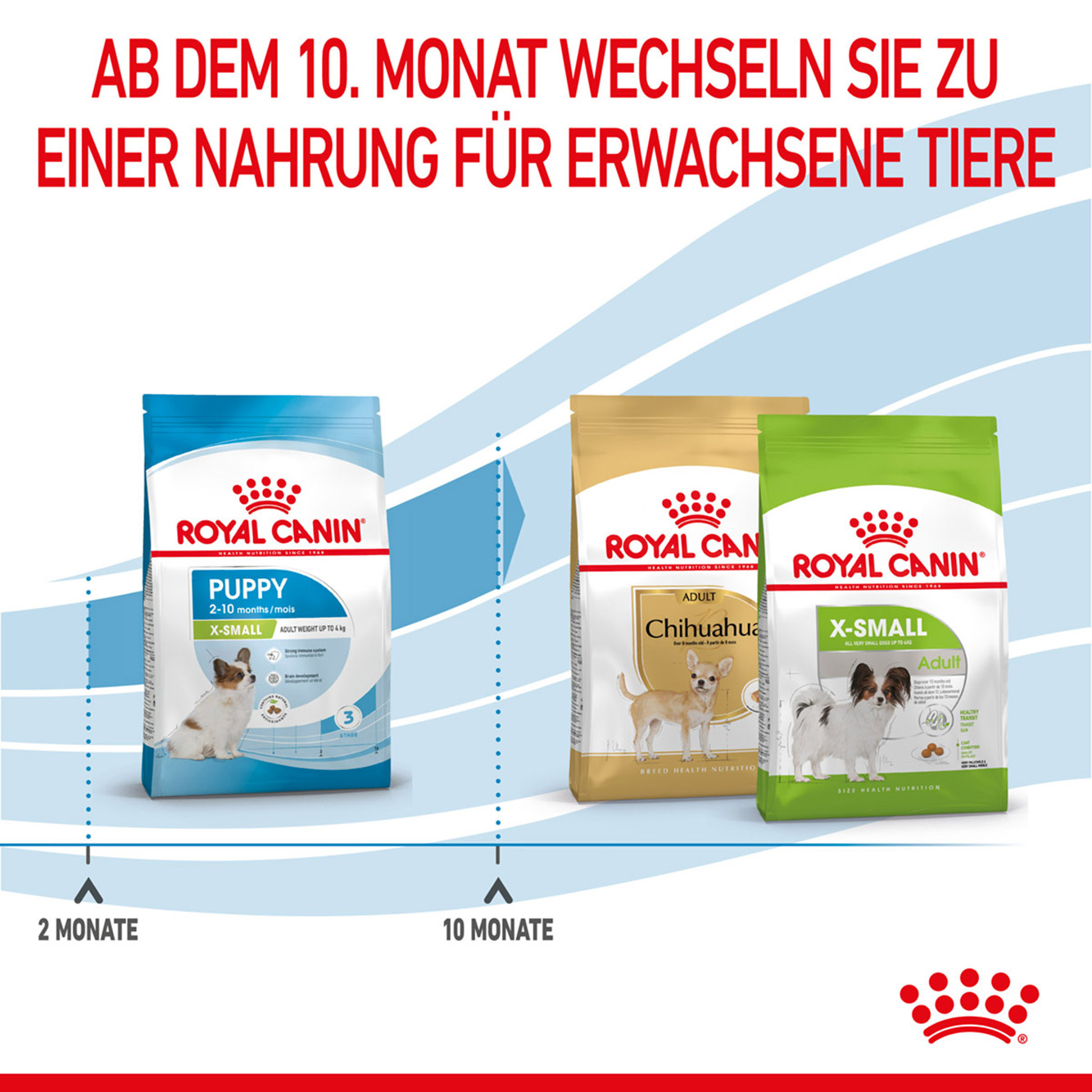 Royal Canin Hund X-Small Puppy 1,5kg