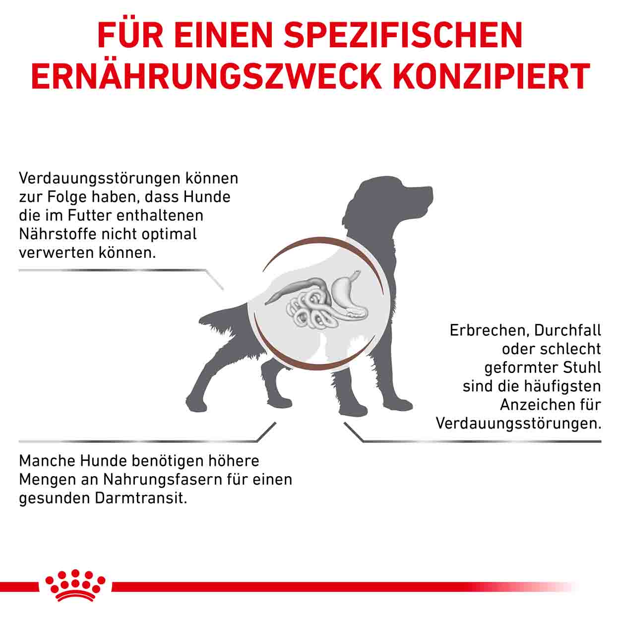 Royal Canin Hund GastroIntestinal High Fibre 12x200g