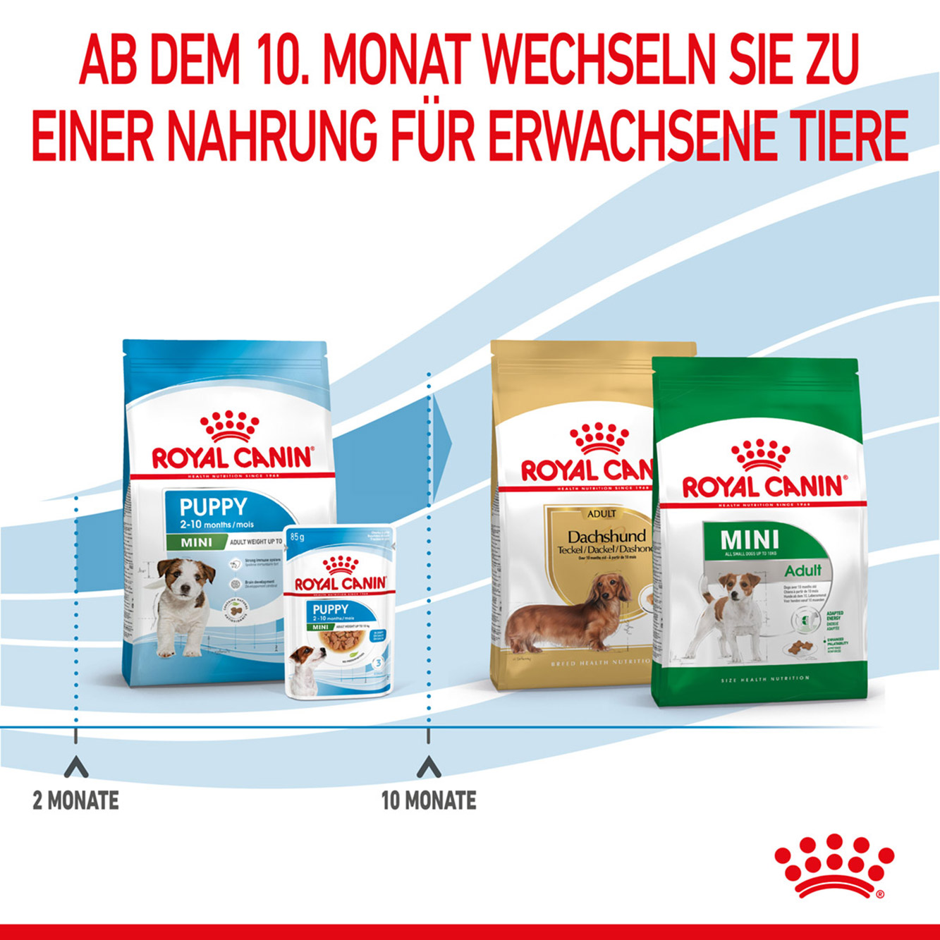 Royal Canin Hund Mini Puppy 2kg