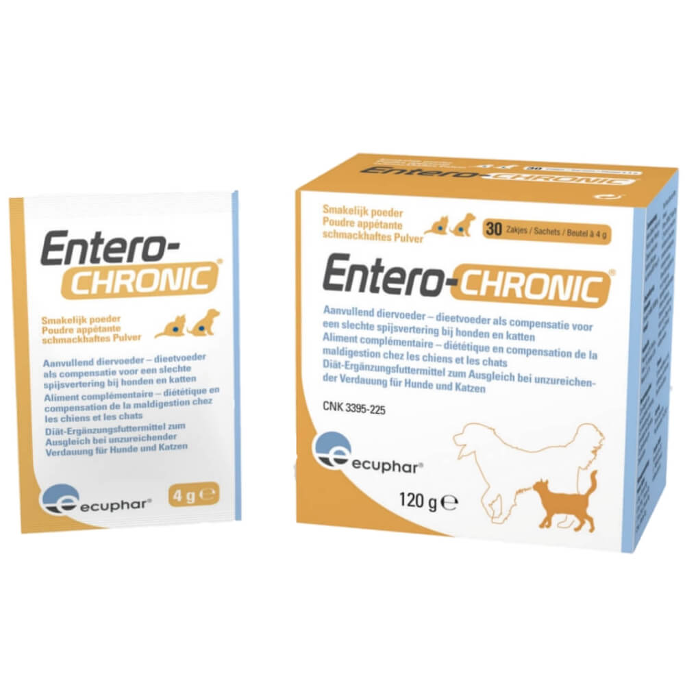 Entero Chronic Darminfektionen Behandlung Hund Magen + Darm