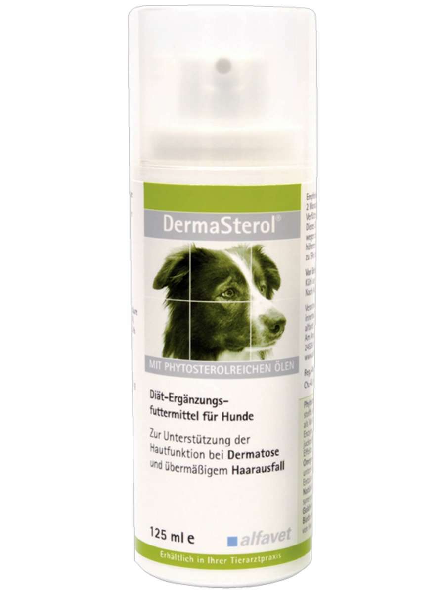 DermaSterol 125ml Unterstützung der Hautfunktion bei Dermatose