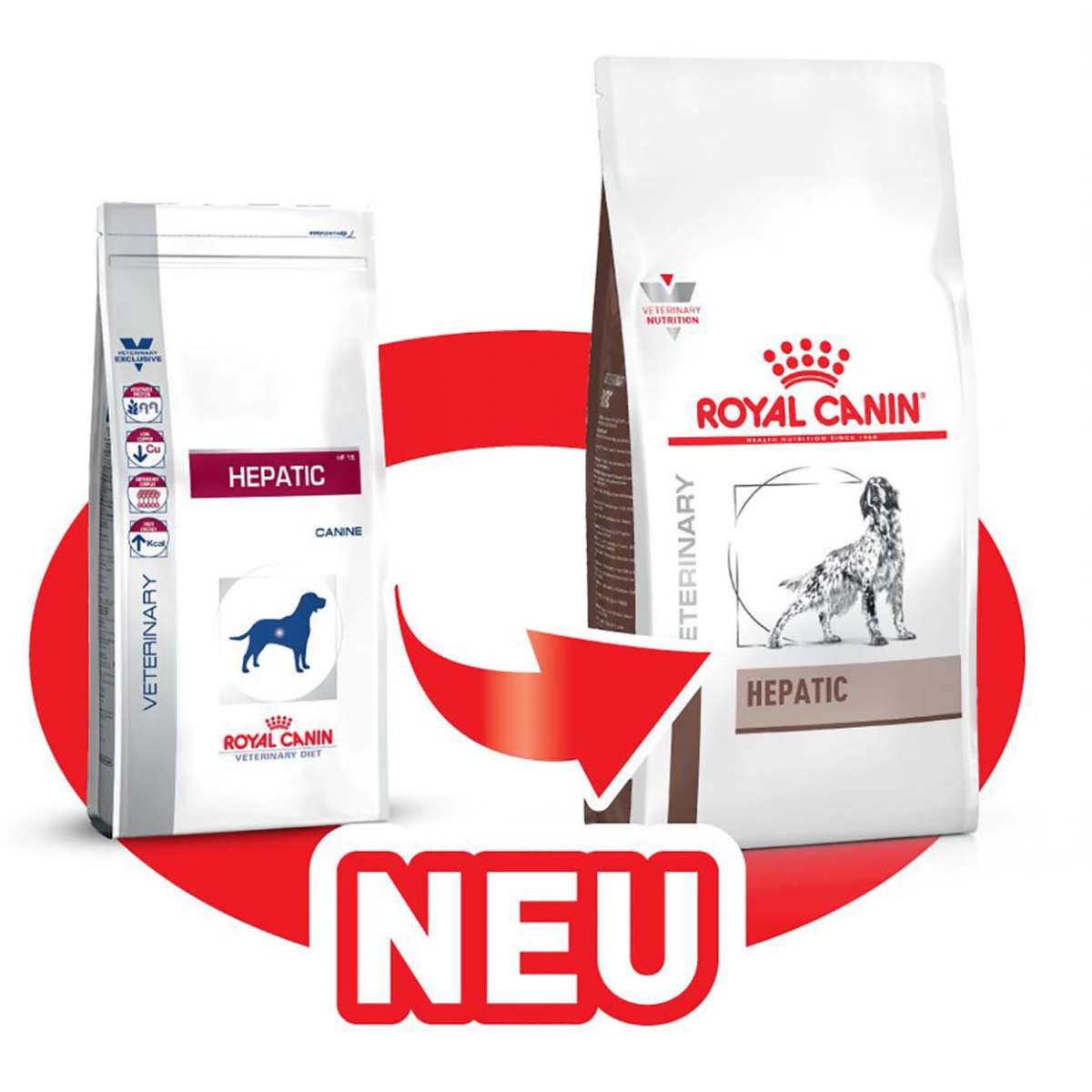 Royal Canin Hund Hepatic Diätfuttermittel für Hunde