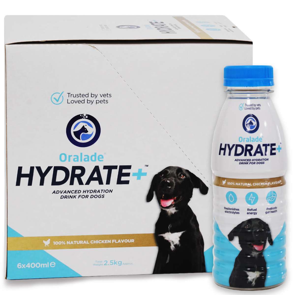 Oralade zur oralen Rehydratation des Hundes mit Durchfall Intensiv